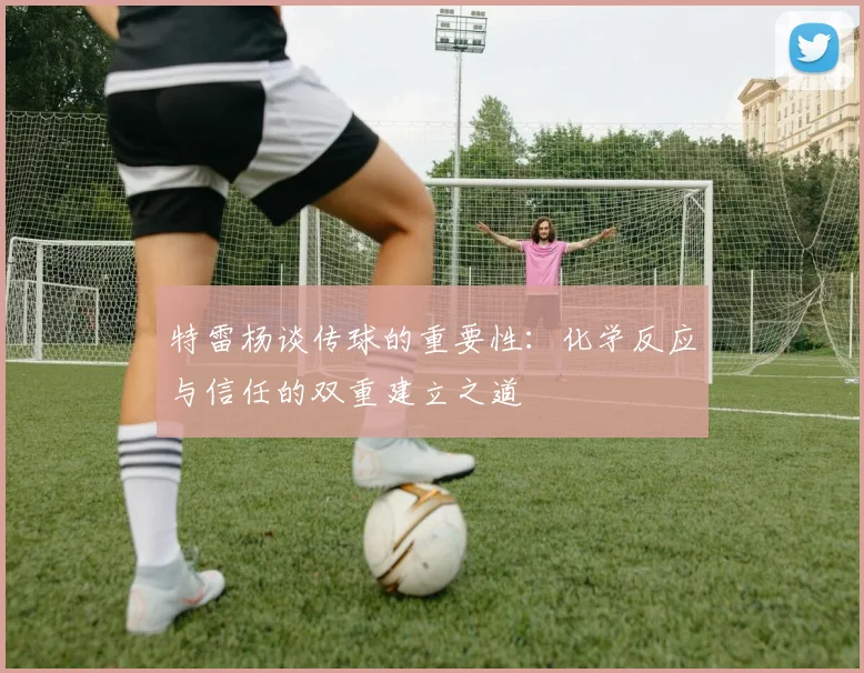 特雷杨谈传球的重要性：化学反应与信任的双重建立之道