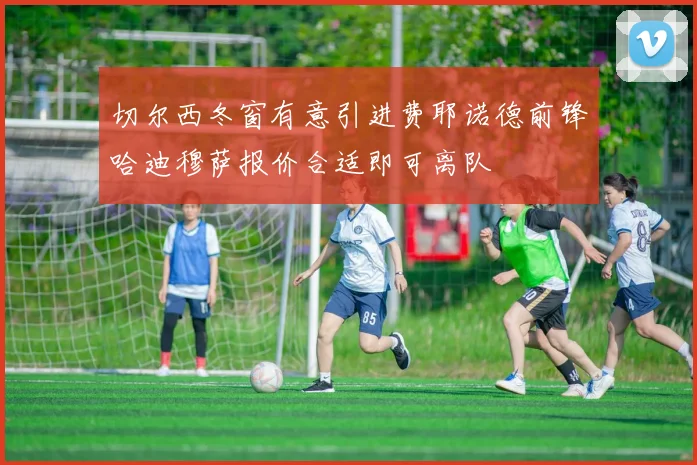 切尔西冬窗有意引进费耶诺德前锋哈迪穆萨报价合适即可离队