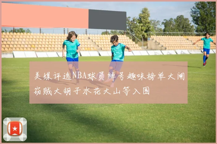 美媒评选NBA球员绰号趣味榜单大闸窃贼大胡子水花大山等入围