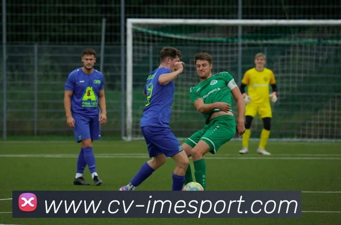 IM电竞平台生态图