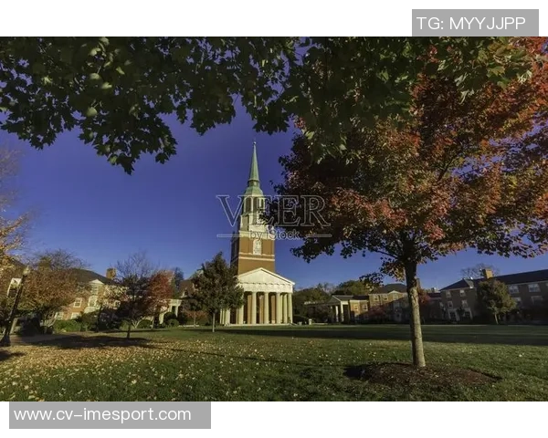 德国世界杯大本营揭晓选择格雷林庄园酒店和维克森林大学作为训练基地